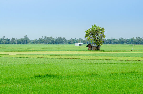 Park Facing Plot on Khagaul Road
