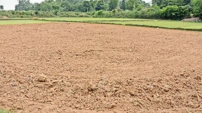 Premium Plot Near Main Road