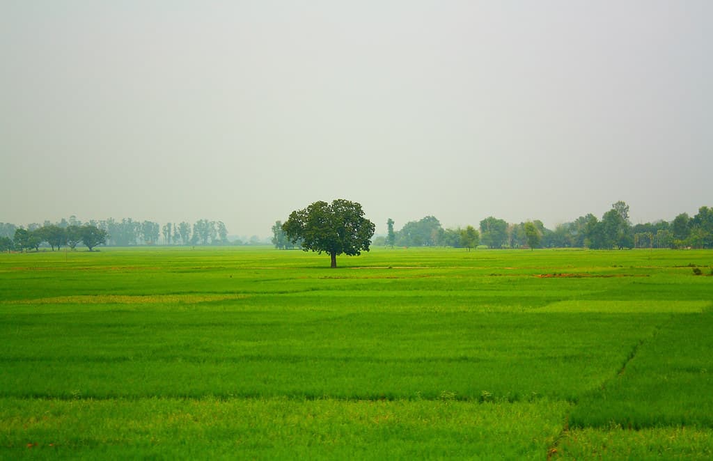 Gated Plot Near NH Corridor