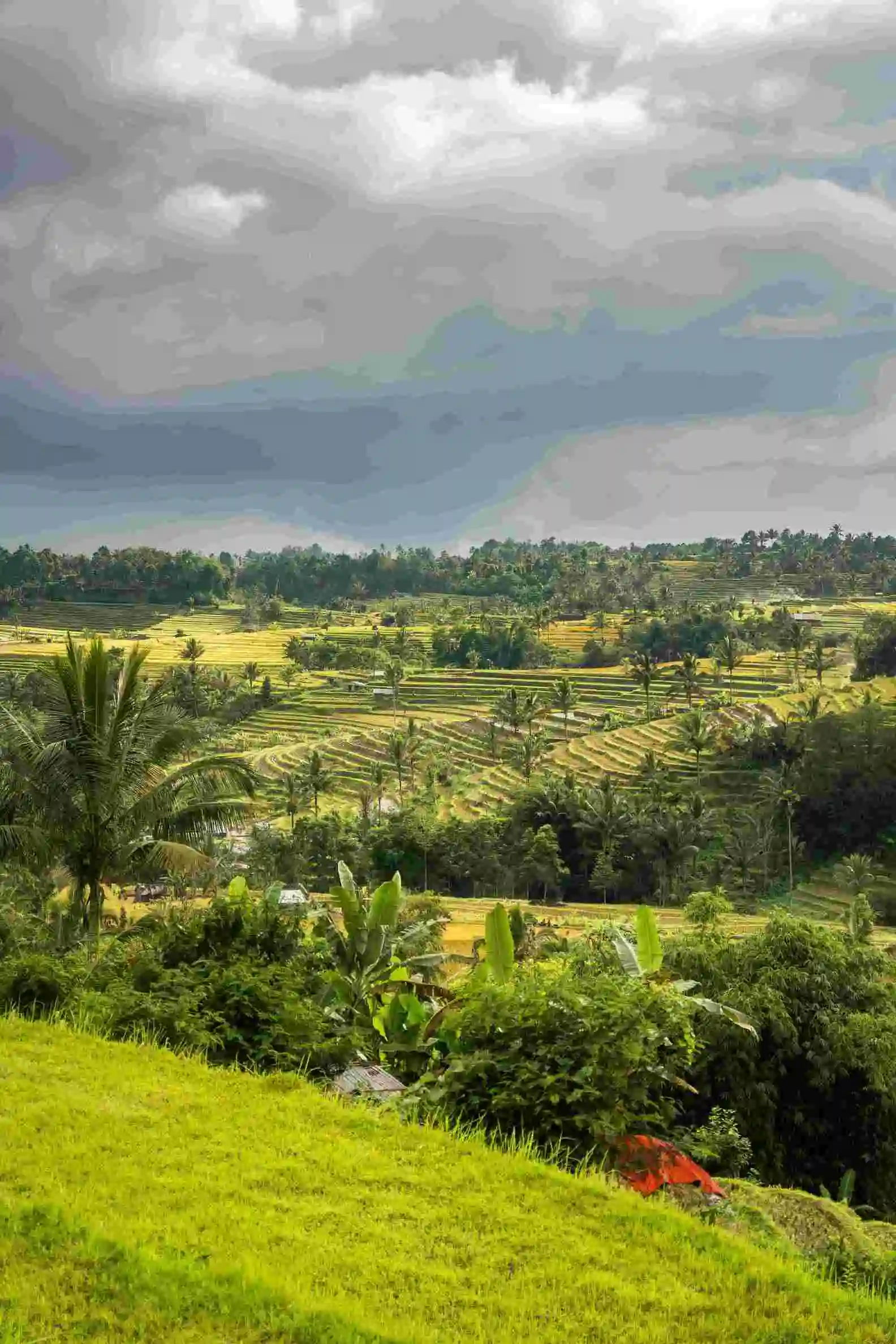 Developed plot property