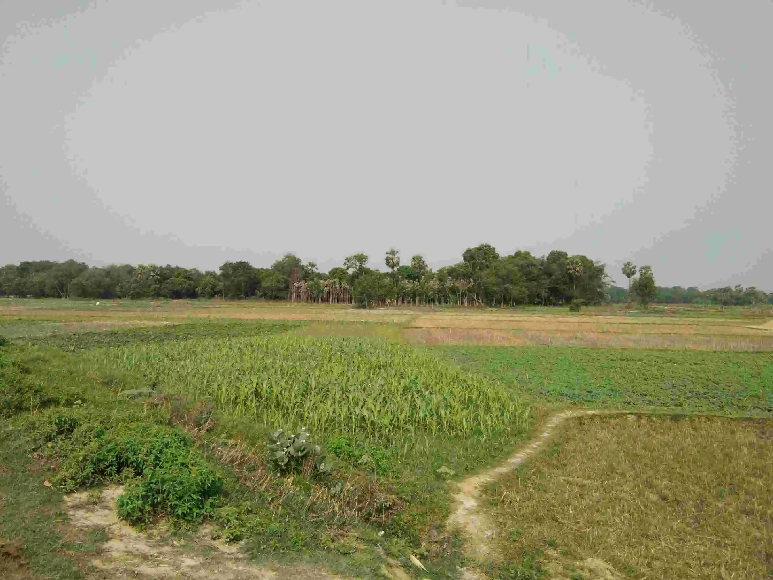 Why Bihta is the Next Big Investment Hub in Bihar