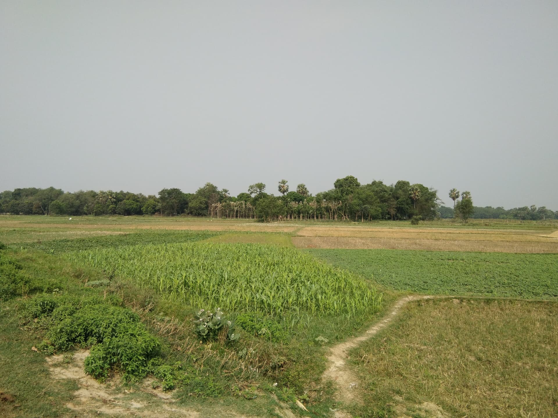 Why Bihta is the Next Big Investment Hub in Bihar