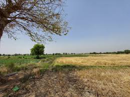 Prime road plot